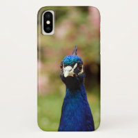Pavo real