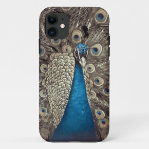 title_seo2 Pavo Real Azul Antiguo
