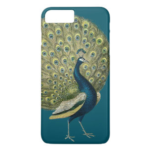 title_seo2 Pavo real del vintage