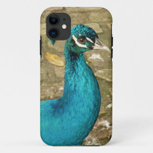Funda Para iPhone 11 Peacock Hermosa Fotografía Natural