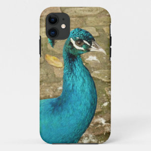 Funda Para iPhone 11 Peacock Hermosa Fotografía Natural