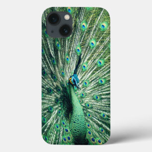 Funda Para iPhone 13 Peacock Strut