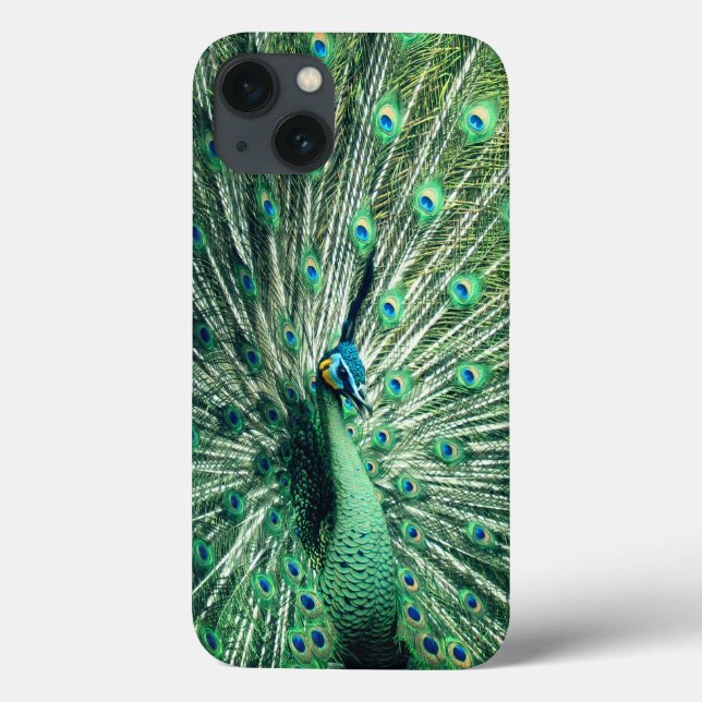 Funda De Case-Mate Para iPhone Peacock Strut (Reverso)