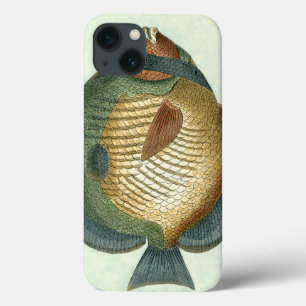 Funda Para iPhone 13 Peces coloridos