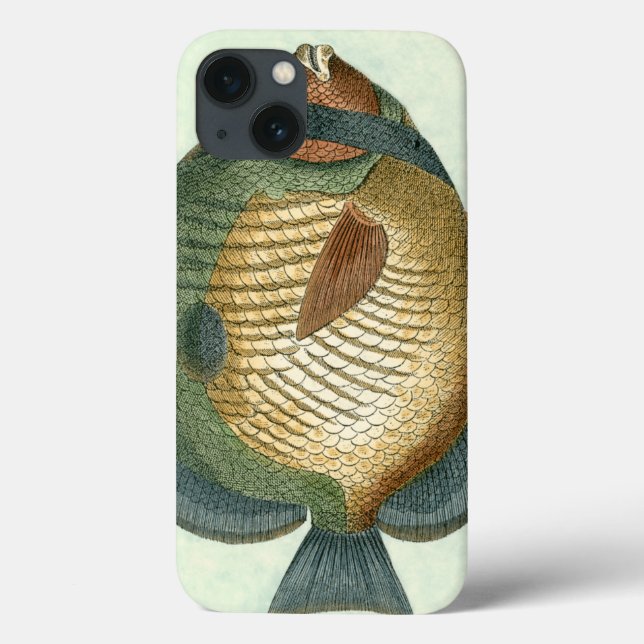 Funda De Case-Mate Para iPhone Peces coloridos (Reverso)