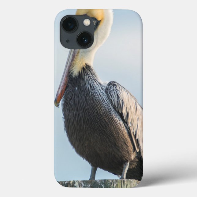 Funda De Case-Mate Para iPhone Pelícano posado en pilón (Reverso)