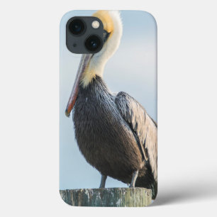 Funda Para iPhone 13 Pelícano posado en pilón
