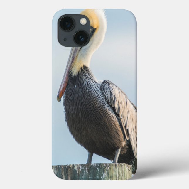 Funda De Case-Mate Para iPhone Pelícano posado en pilón (Reverso)