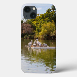 Funda Para iPhone 13 Pelícanos en el lago del Zoológico de Phoenix