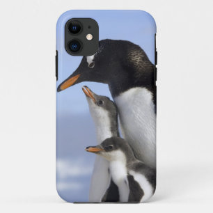Funda Para iPhone 11 Península Antártica, Puerto Neko, Gentoo