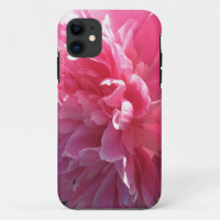 Peony rosado
