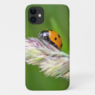Funda Para iPhone 11 Pequeña y pequeña mariquita para tu Smartphone!