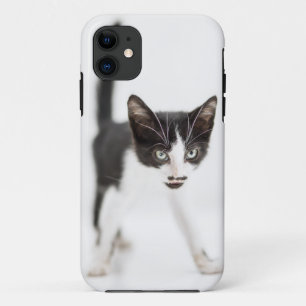 Funda Para iPhone 11 Pequeño gato