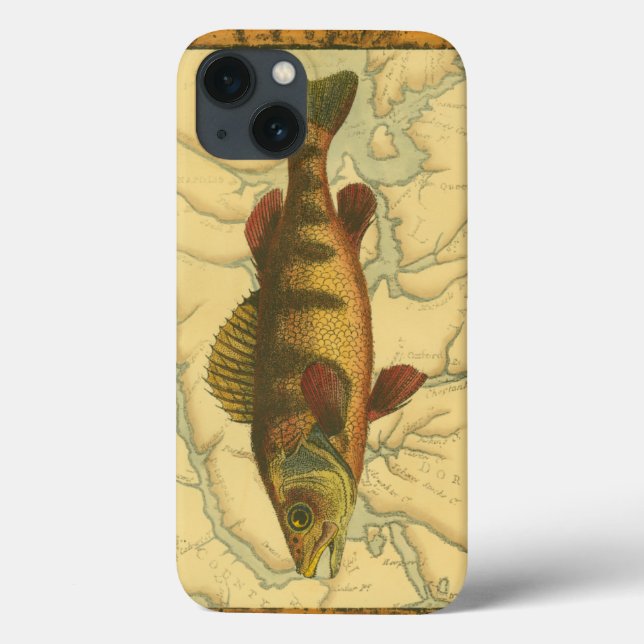 Funda De Case-Mate Para iPhone Percha amarilla en el mapa (Reverso)
