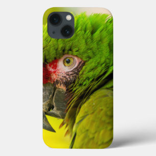 Funda Para iPhone 13 Perfil del macaw en el parque zoológico de Santa