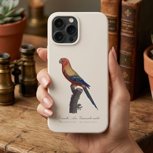 Funda De Case-Mate Para iPhone Perico Ara, Guarouba  / Perico del sol  (Sun Parakeet Male, Aratinga Solstitialis. iPhone Case)