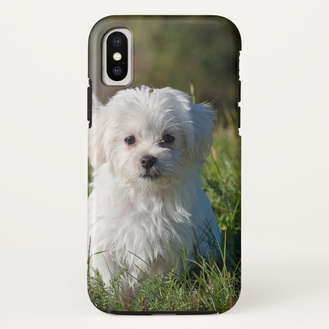 Funda De Case-Mate Para iPhone Perrito blanco (Reverso)