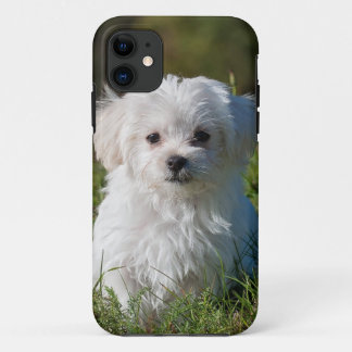 Funda Para iPhone 11 perrito blanco en el parque