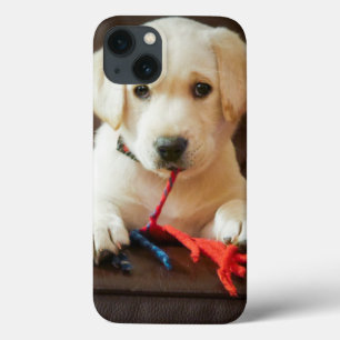 Funda Para iPhone 13 Perrito de las imágenes el   de Getty en un sofá