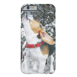 Funda Barely There Para iPhone 6 Perrito del beagle del grito en la nieve