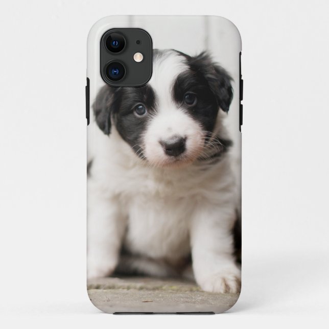 Funda De Case-Mate Para iPhone Perrito del border collie (Reverso)