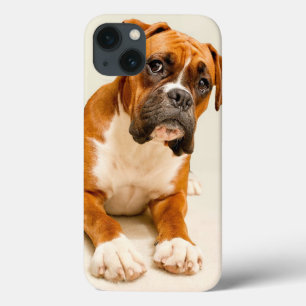 Funda Para iPhone 13 Perrito del boxeador en el contexto poner crema de