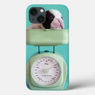 Funda Para iPhone 13 Perrito del bulldog francés