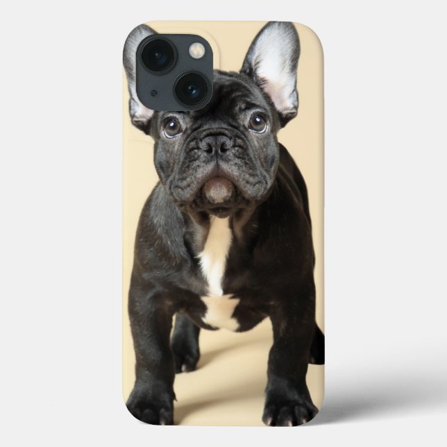 Funda De Case-Mate Para iPhone Perrito del bulldog francés (Reverso)