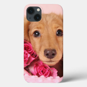 Funda Para iPhone 13 Perrito del Dachshund rodeado por los rosas