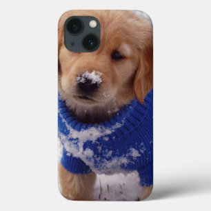 title_seo2 Perrito del golden retriever