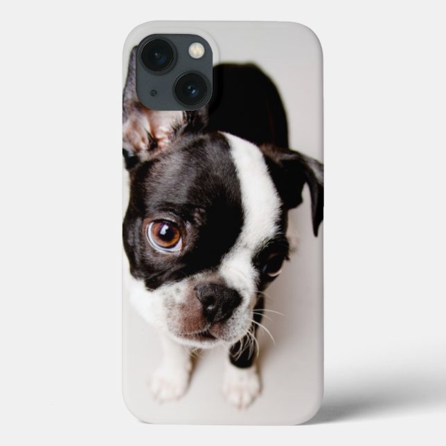 Funda De Case-Mate Para iPhone Perrito Edison Boston Terrier. (Reverso)