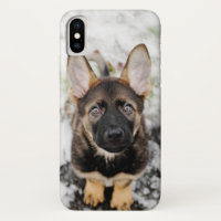 Perrito lindo que mira para arriba