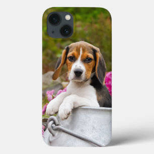 Funda Para iPhone 13 Perro beagle tricolor dulce Mascota de cachorro en
