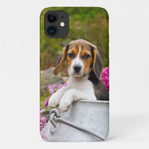Funda Para iPhone 11 Perro beagle tricolor picante Mascota en una guarn