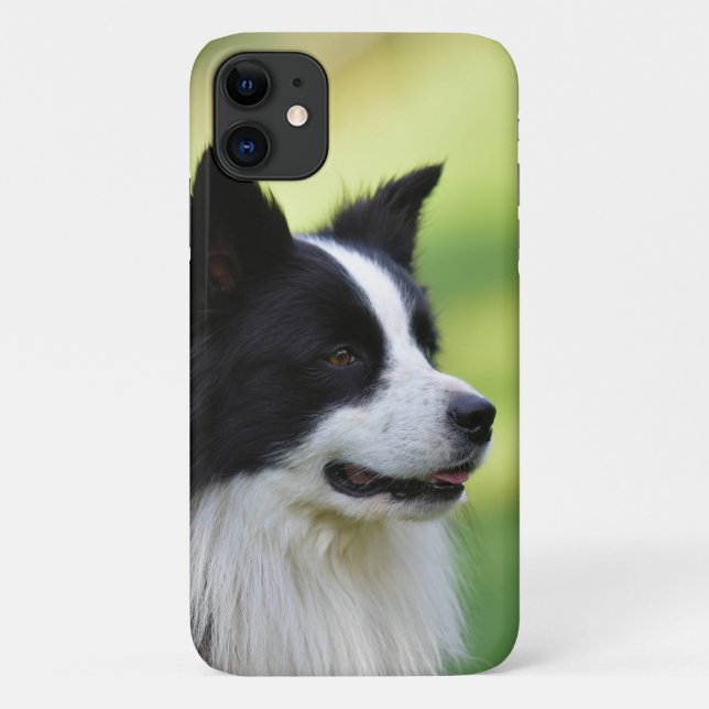 Funda De Case-Mate Para iPhone Perro Border Collie negro y blanco (Reverso)