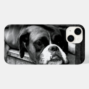 Funda Para iPhone 14 De Case-Mate Perro Boxer En Windowsill iphcnm
