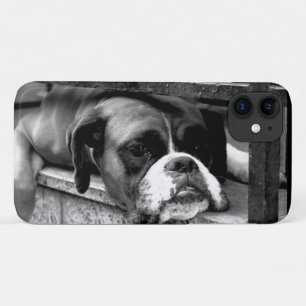 Funda Para iPhone 11 Perro Boxer En Windowsill iphcnm