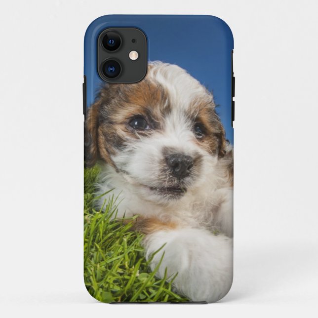 Funda De Case-Mate Para iPhone Perro cachorrito (Shitzu) (Reverso)