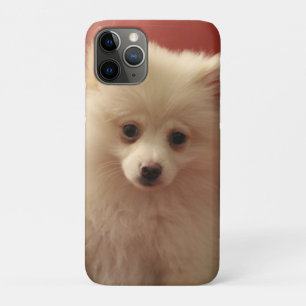 Funda Para iPhone 11 Pro Perro de Cute Pomerania