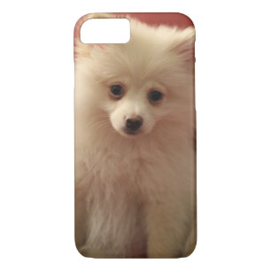 Funda Para iPhone 8/7 Perro de Cute Pomerania