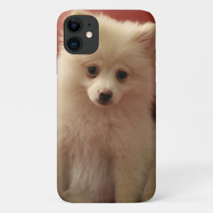Funda Para iPhone 11 Perro de Cute Pomerania