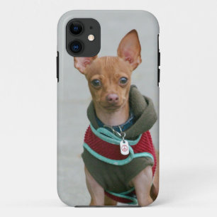 Funda Para iPhone 11 Perro de la chihuahua