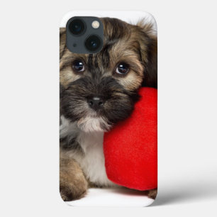 title_seo2 Perro de perrito de Havanese de la tarjeta del día