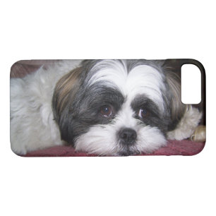 Funda Para iPhone 8/7 Perro de Shih Tzu