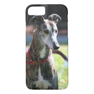 Funda Para iPhone 8/7 Perro del galgo