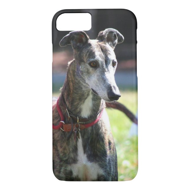Funda De Case-Mate Para iPhone Perro del galgo (Reverso)