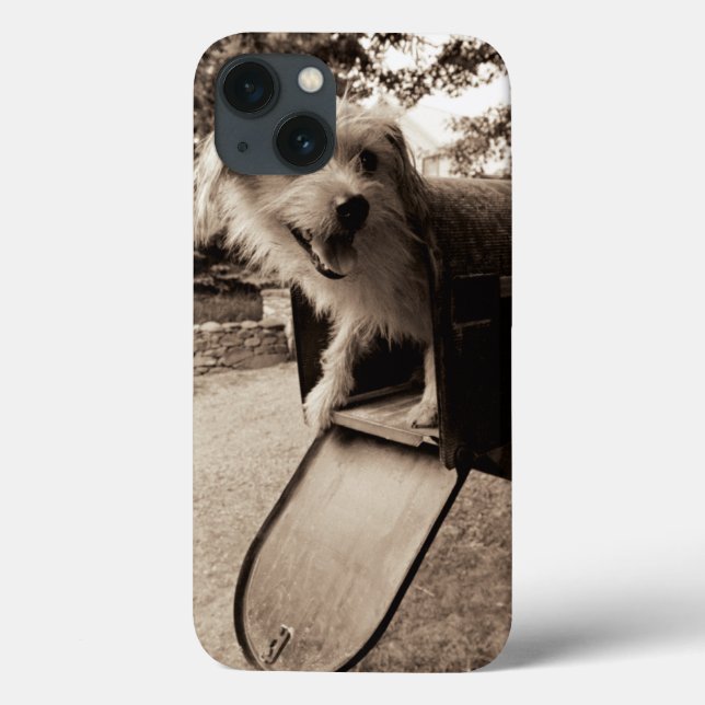 Funda De Case-Mate Para iPhone Perro dentro de un buzón (Reverso)