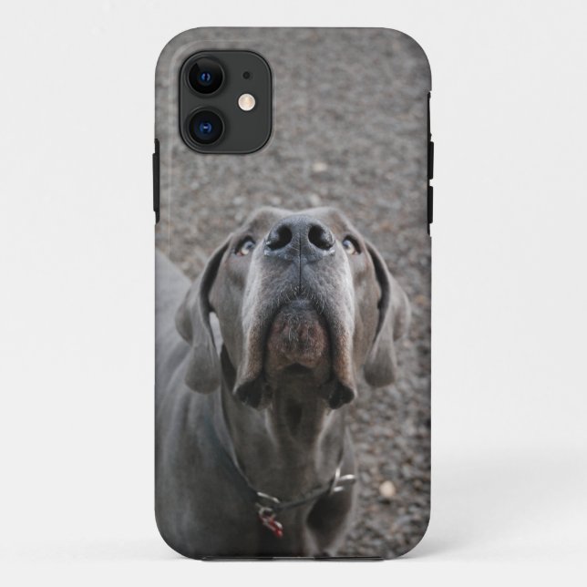 Funda De Case-Mate Para iPhone Perro en la oreja (Reverso)