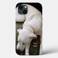Perro Labrador Labrador Mezcla de Cachorro Blanco