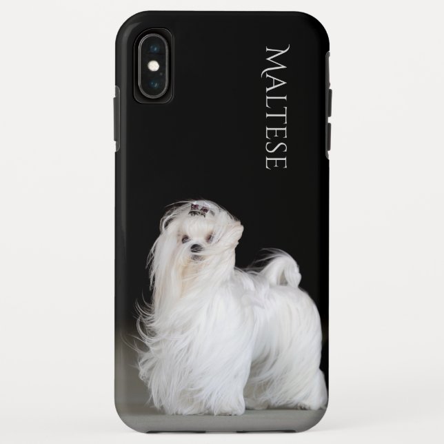 Funda De Case-Mate Para iPhone Perro maltés (Reverso)